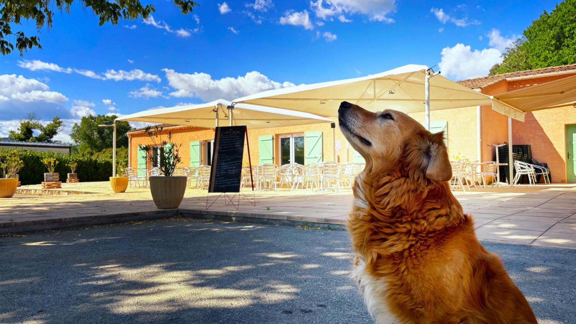 Camping Tikayan L'Oxygene Valensole Εξωτερικό φωτογραφία